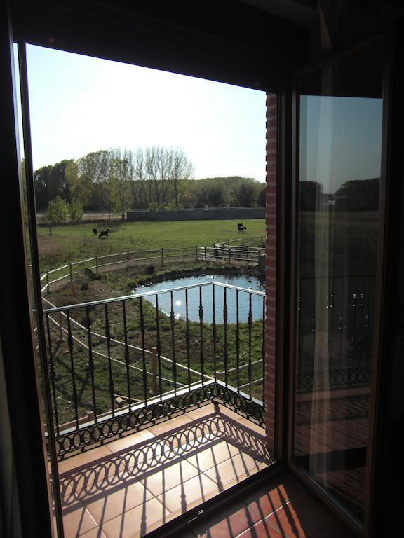 Los Reales Carrizo de la Ribera Room photo